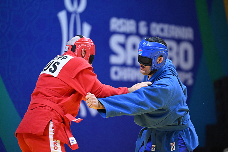 SAMBO for the Blind and Visually Impaired in Australia: Joining Forces to Move Forward