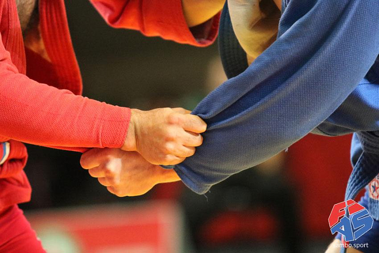 [VIDEO] SAMBO for All